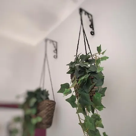 Apartament Misseregram