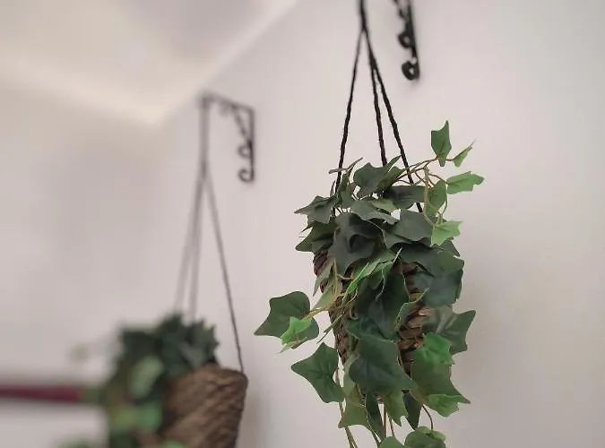 Appartement Misseregram